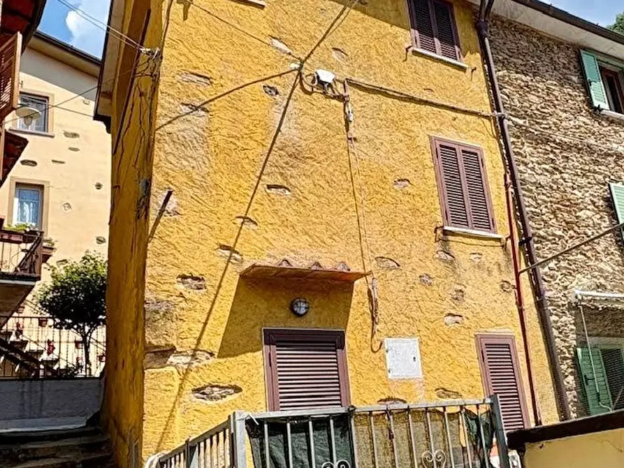 Immagine 1 di Terratetto in vendita  a Stazzema