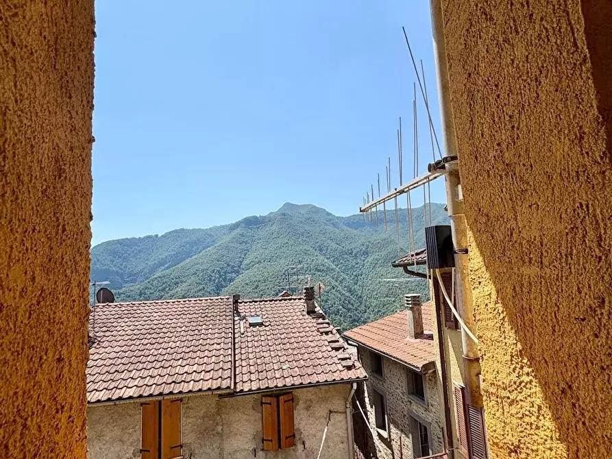 Immagine 14 di Terratetto in vendita  a Stazzema