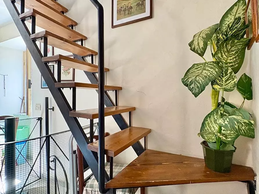 Immagine 8 di Terratetto in vendita  a Stazzema