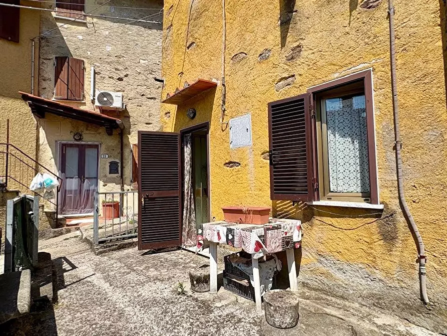 Immagine 20 di Terratetto in vendita  a Stazzema