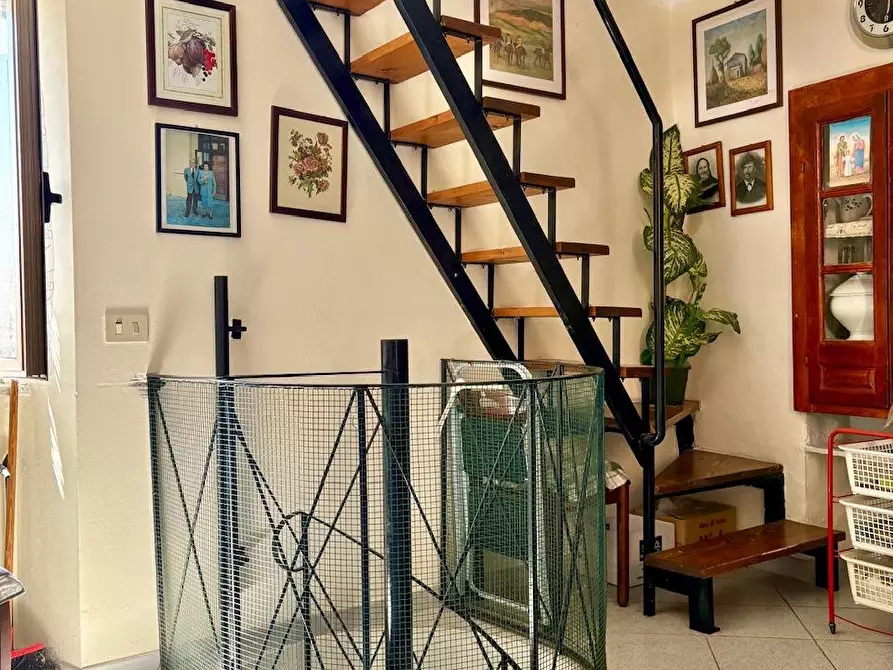 Immagine 7 di Terratetto in vendita  a Stazzema