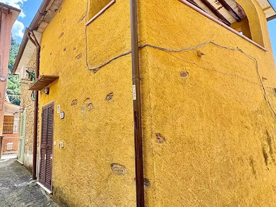 Immagine 2 di Terratetto in vendita  a Stazzema