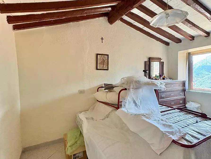 Immagine 18 di Terratetto in vendita  a Stazzema