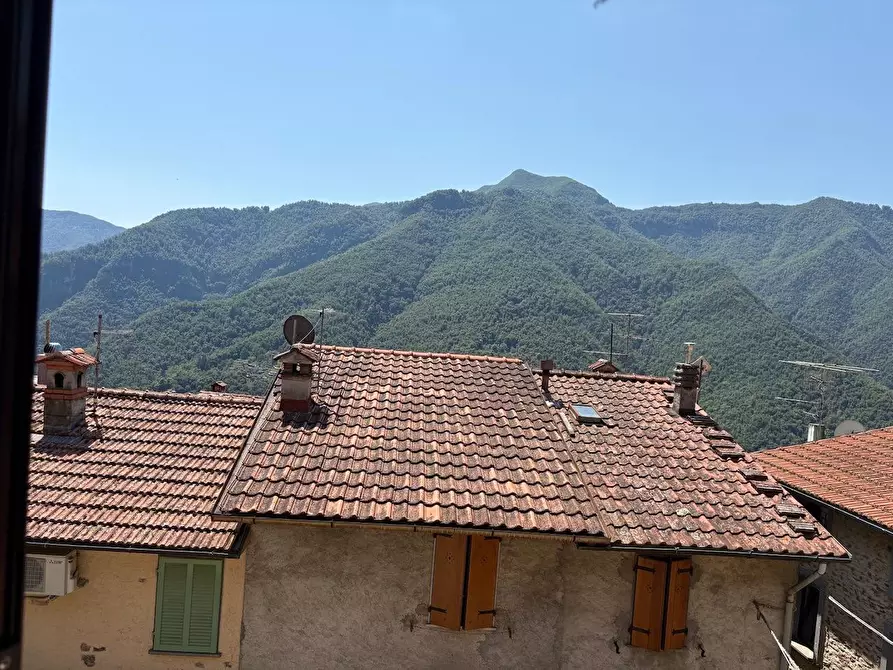 Immagine 30 di Terratetto in vendita  a Stazzema