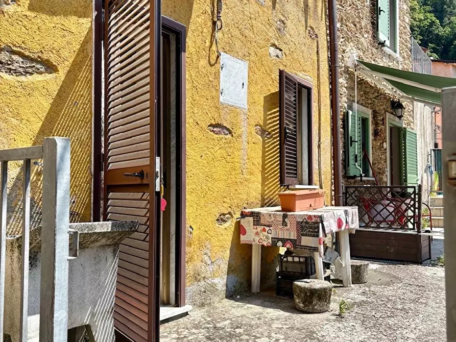 Immagine 19 di Terratetto in vendita  a Stazzema