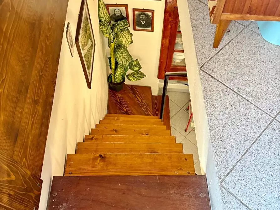 Immagine 17 di Terratetto in vendita  a Stazzema