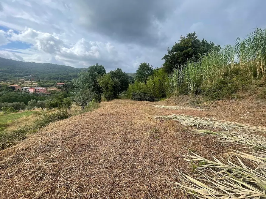 Immagine 6 di Rustico / casale in vendita  a Sarzana