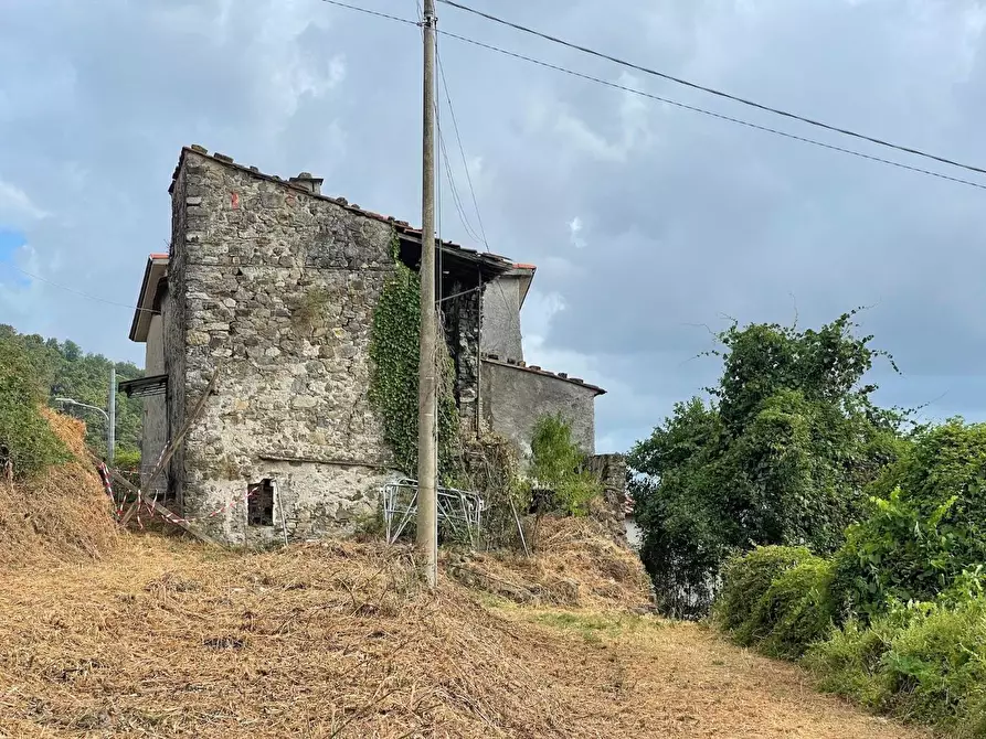 Immagine 3 di Rustico / casale in vendita  a Sarzana