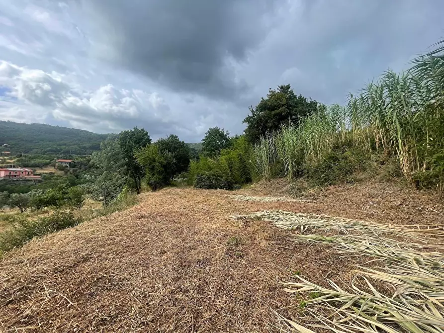 Immagine 5 di Rustico / casale in vendita  a Sarzana