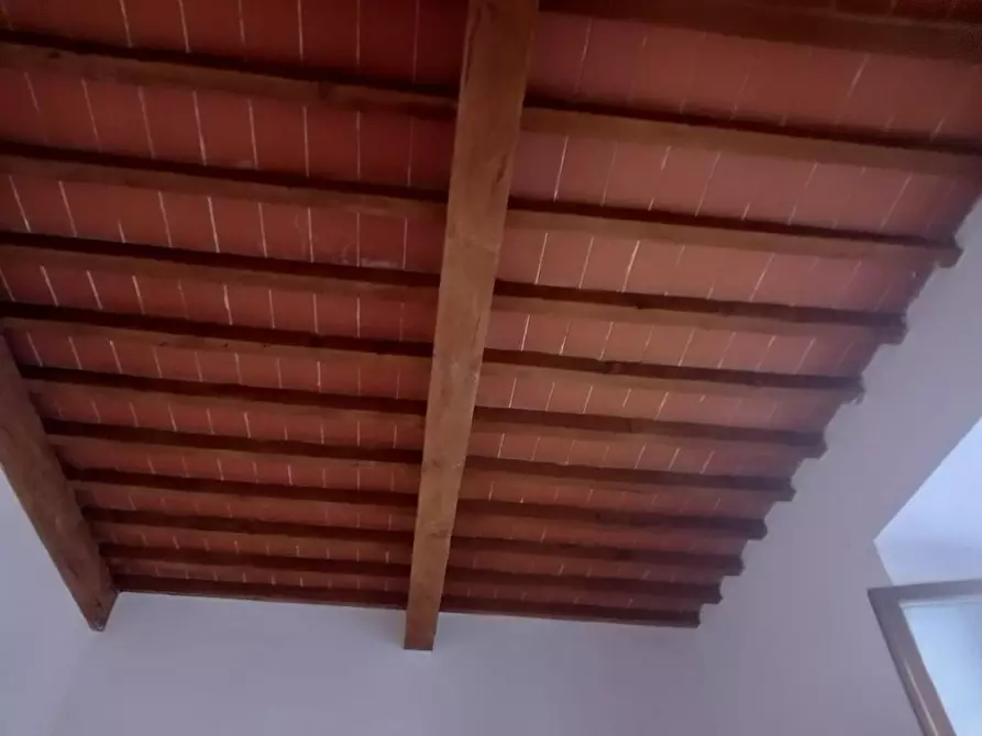 Immagine 3 di Appartamento in vendita  a Livorno