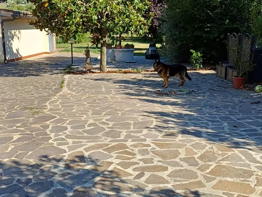 Immagine 3 di Villa in vendita  a San Miniato