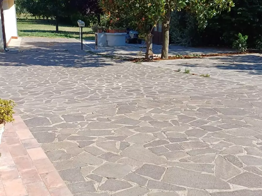 Immagine 4 di Villa in vendita  a San Miniato