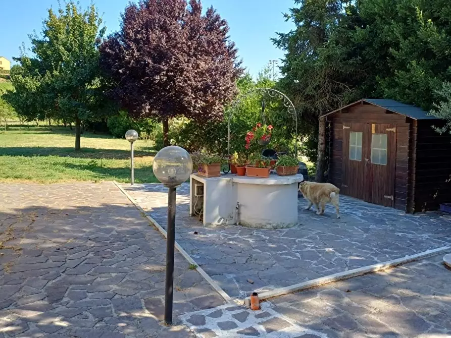 Immagine 5 di Villa in vendita  a San Miniato