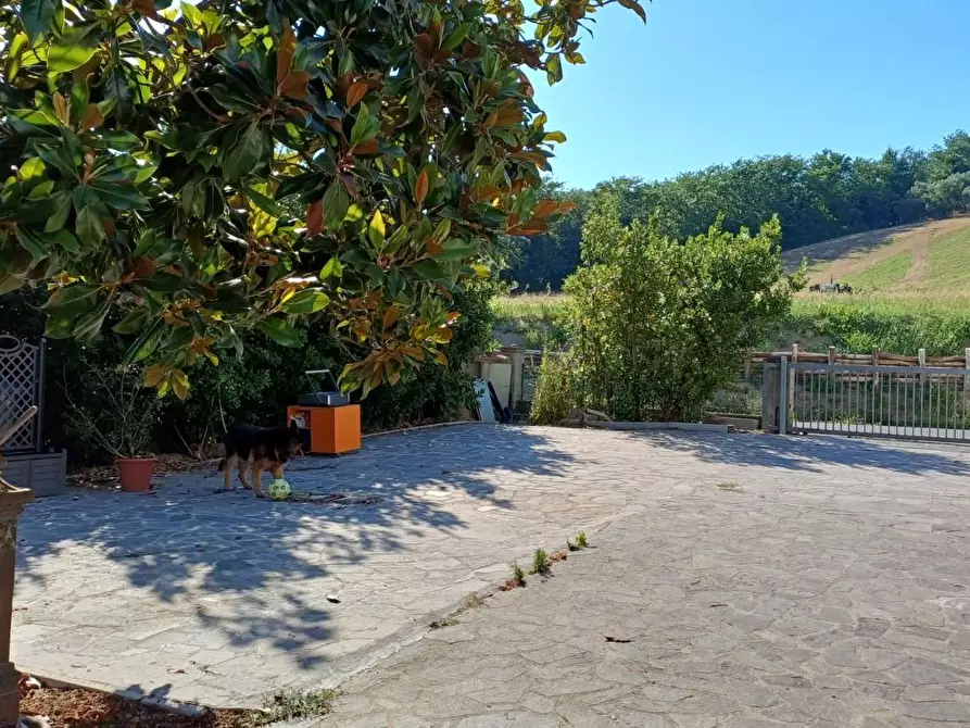 Immagine 2 di Villa in vendita  a San Miniato