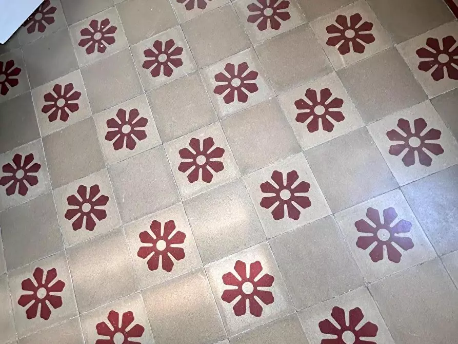 Immagine 14 di Appartamento in affitto  a Pisa