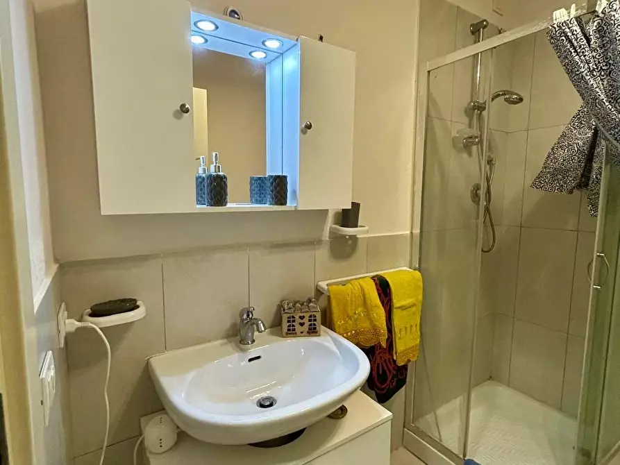 Immagine 12 di Appartamento in affitto  a Pisa