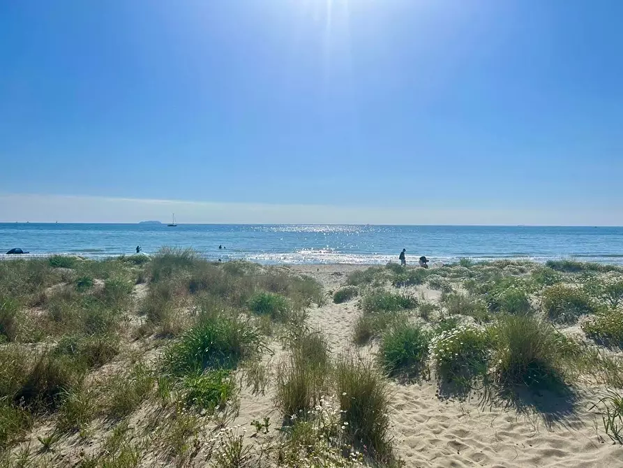 Immagine 19 di Appartamento in affitto  a Pisa