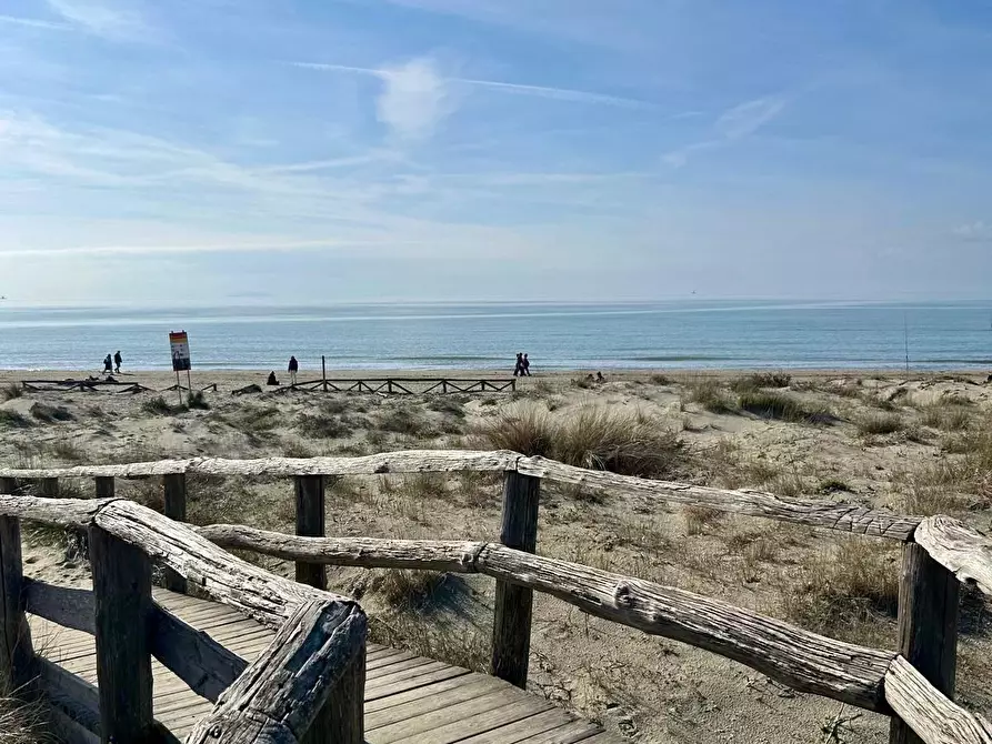 Immagine 14 di Appartamento in affitto  a Pisa