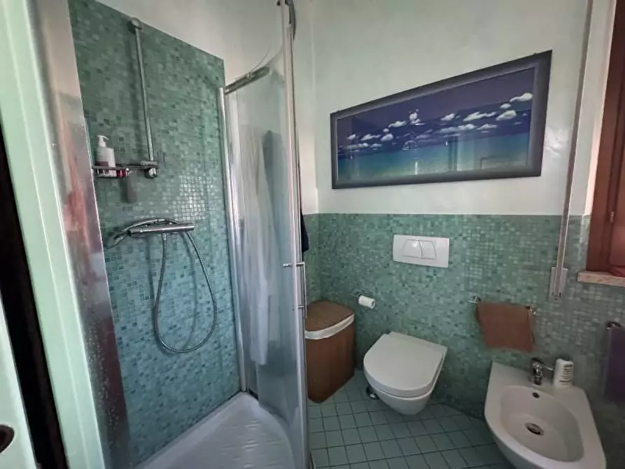 Immagine 18 di Villa in vendita  a Massa