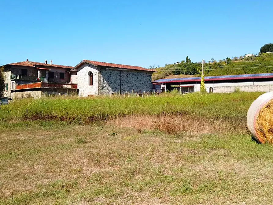 Immagine 13 di Agriturismo in vendita  a Fivizzano