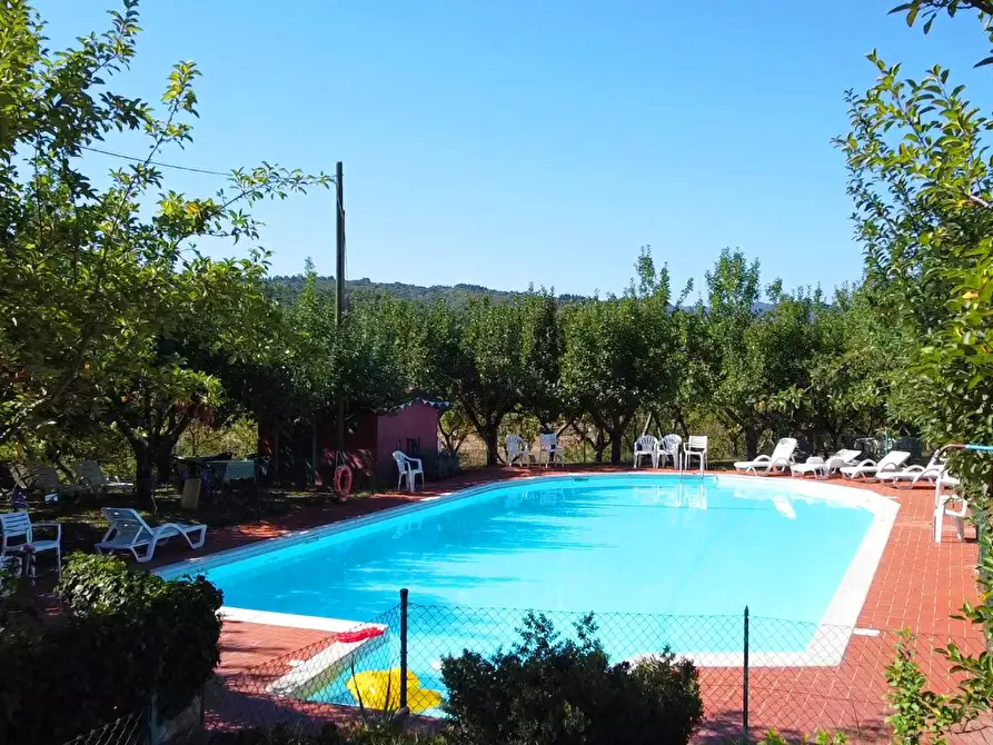 Immagine 4 di Agriturismo in vendita  a Fivizzano