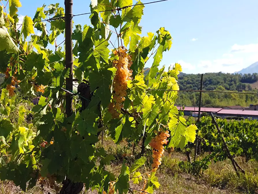 Immagine 24 di Agriturismo in vendita  a Fivizzano