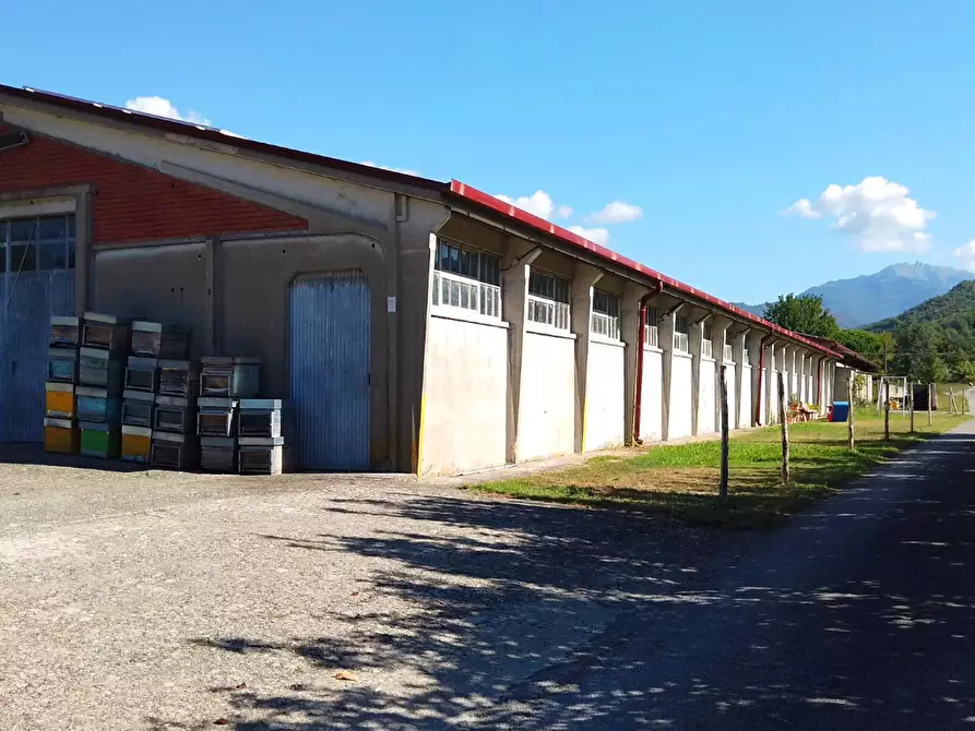Immagine 14 di Agriturismo in vendita  a Fivizzano