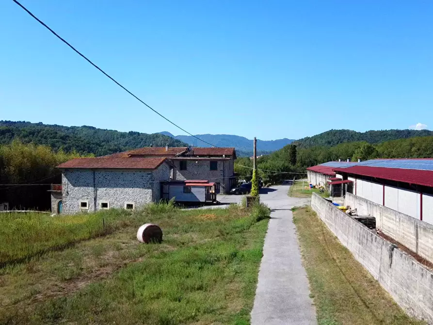 Immagine 17 di Agriturismo in vendita  a Fivizzano