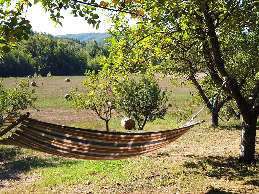 Immagine 12 di Agriturismo in vendita  a Fivizzano