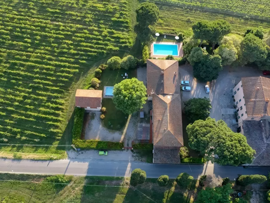 Immagine 2 di Agriturismo in vendita  a San Miniato