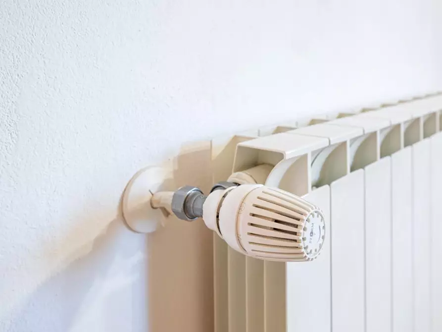 Immagine 29 di Appartamento in vendita  a Vicopisano