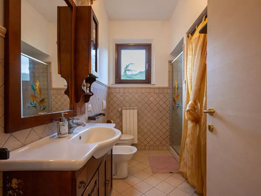 Immagine 18 di Appartamento in vendita  a Vicopisano