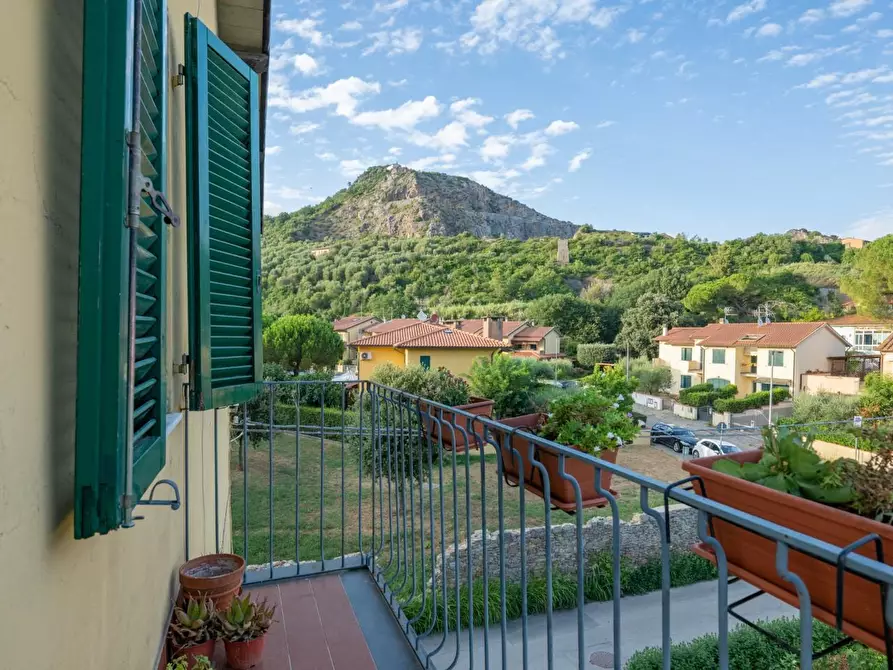 Immagine 11 di Appartamento in vendita  a Vicopisano