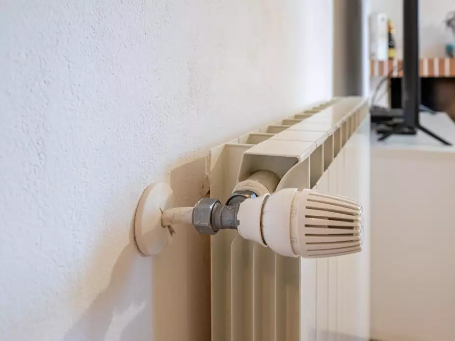 Immagine 28 di Appartamento in vendita  a Vicopisano