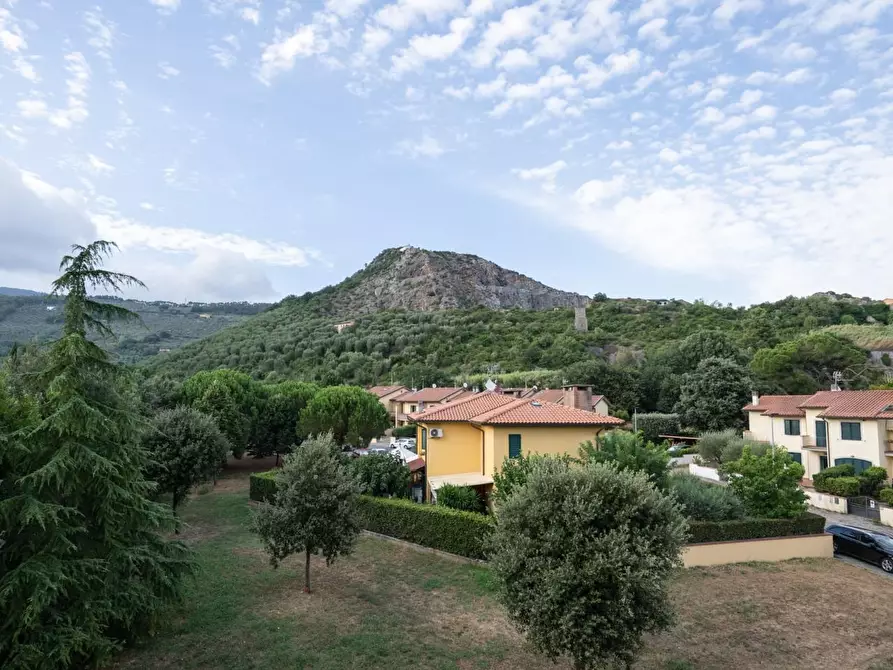 Immagine 31 di Appartamento in vendita  a Vicopisano