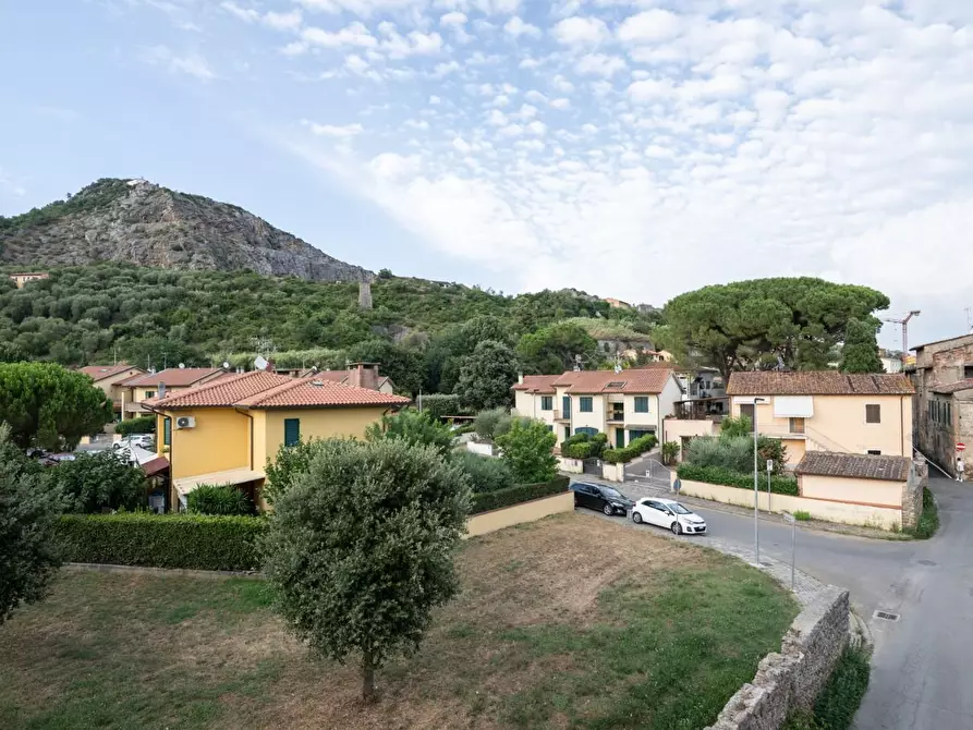 Immagine 30 di Appartamento in vendita  a Vicopisano