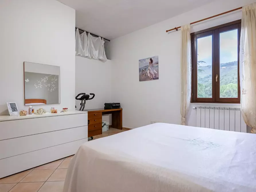 Immagine 20 di Appartamento in vendita  a Vicopisano