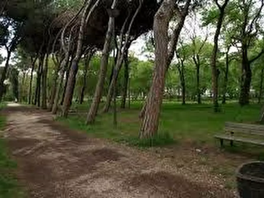 Immagine 9 di Casa quadrifamiliare in vendita  a Viareggio