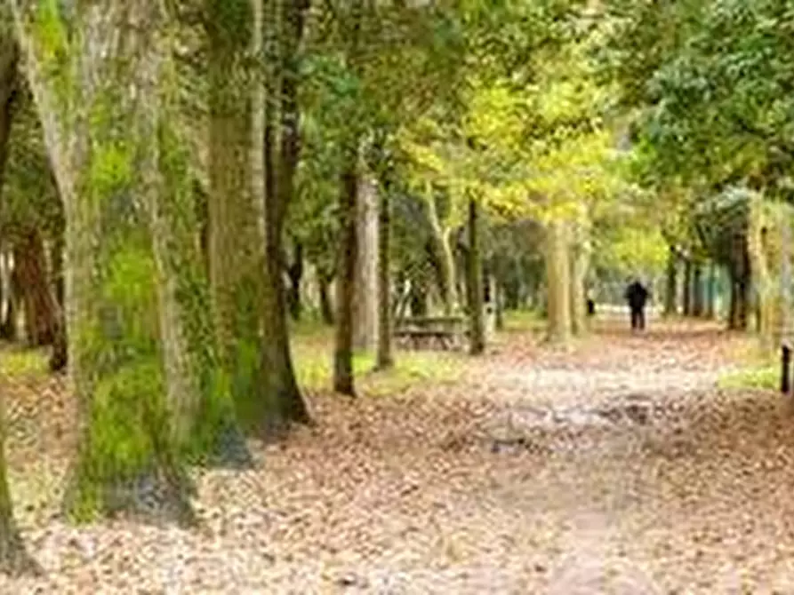 Immagine 8 di Casa quadrifamiliare in vendita  a Viareggio