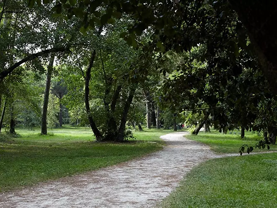 Immagine 12 di Casa quadrifamiliare in vendita  a Viareggio