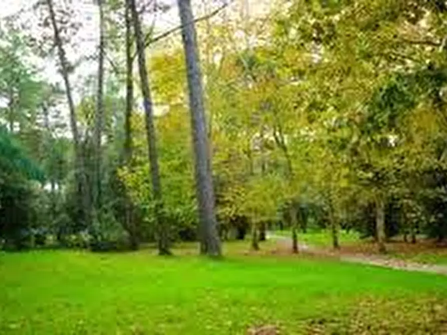 Immagine 10 di Casa quadrifamiliare in vendita  a Viareggio