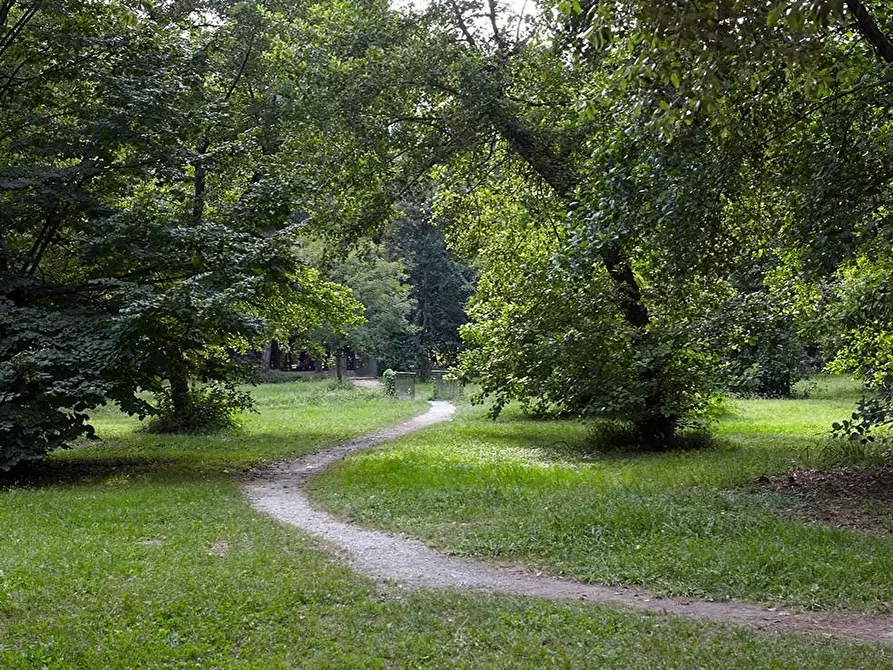 Immagine 11 di Casa quadrifamiliare in vendita  a Viareggio