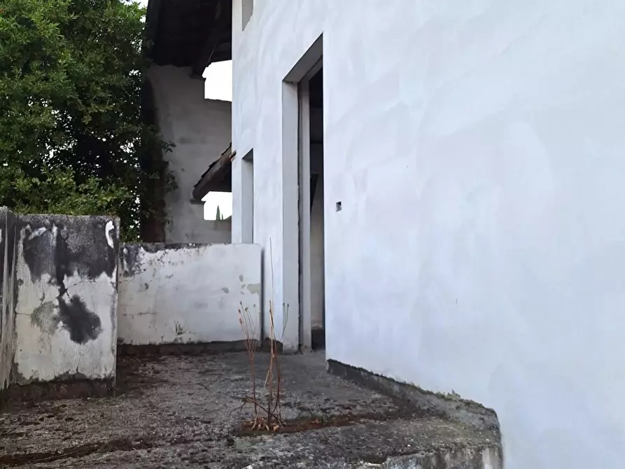Immagine 4 di Appartamento in vendita  a Lucca
