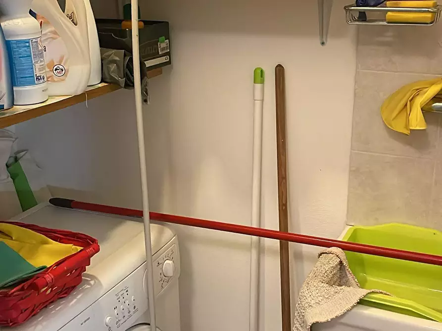 Immagine 4 di Appartamento in vendita  a Bibbona