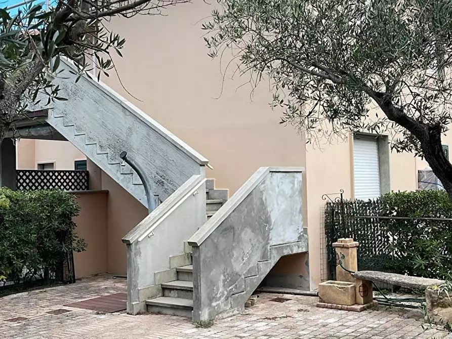 Immagine 12 di Appartamento in vendita  a Bibbona