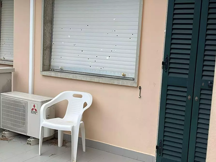 Immagine 18 di Appartamento in vendita  a Bibbona