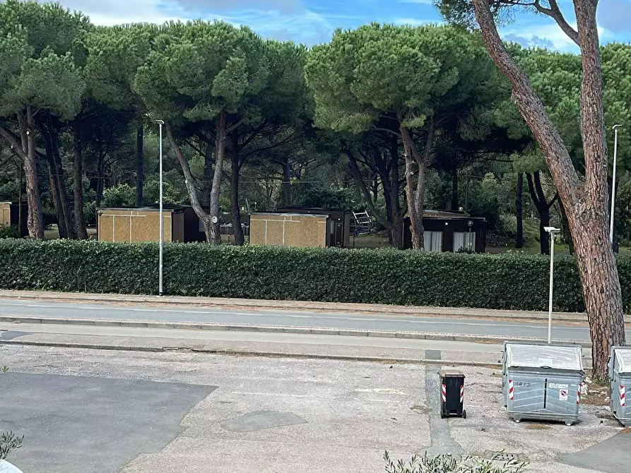 Immagine 17 di Appartamento in vendita  a Bibbona