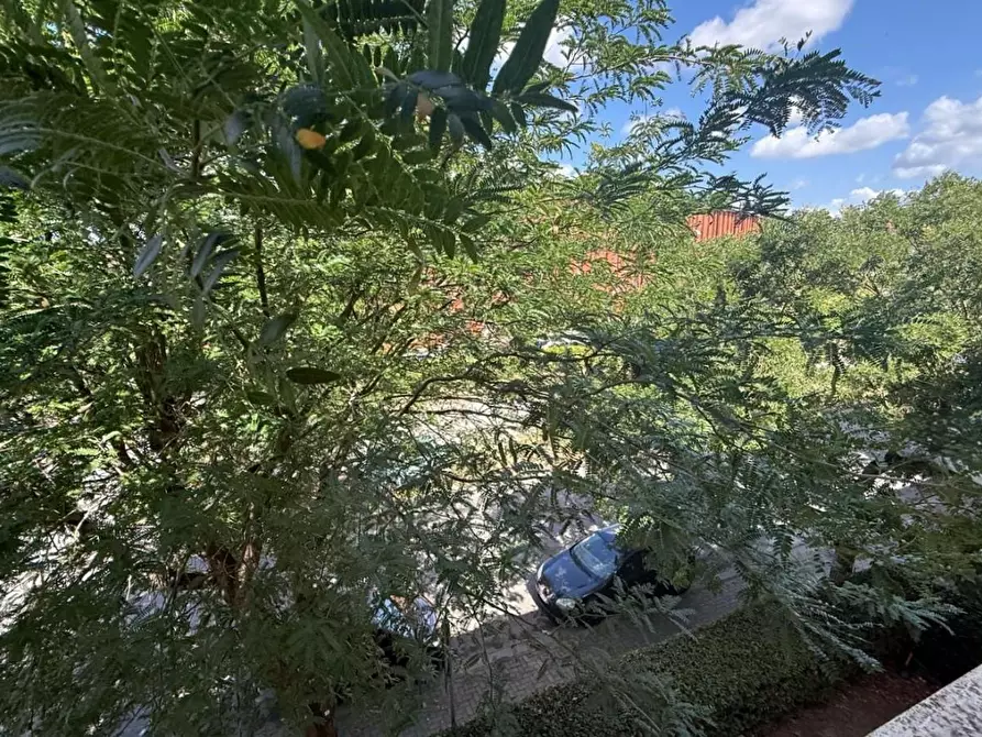 Immagine 31 di Appartamento in vendita  a Pontedera