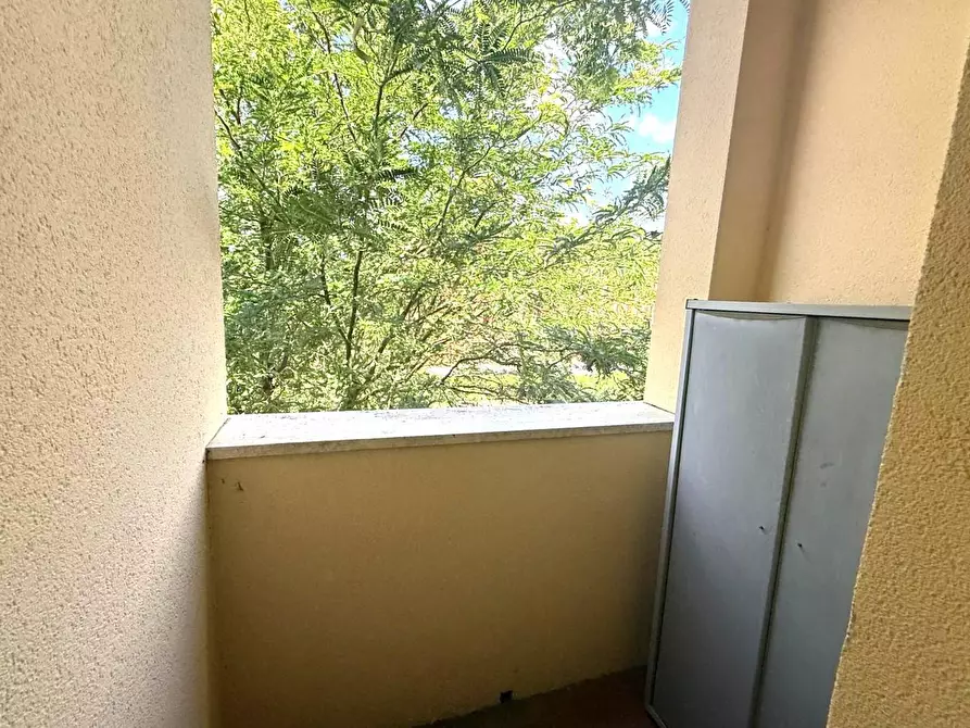 Immagine 29 di Appartamento in vendita  a Pontedera