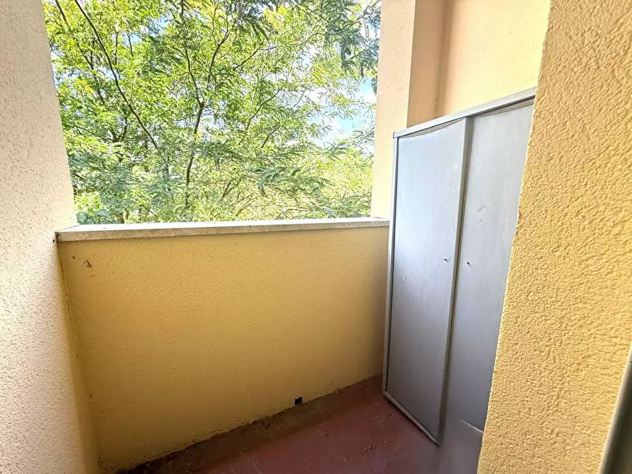 Immagine 30 di Appartamento in vendita  a Pontedera